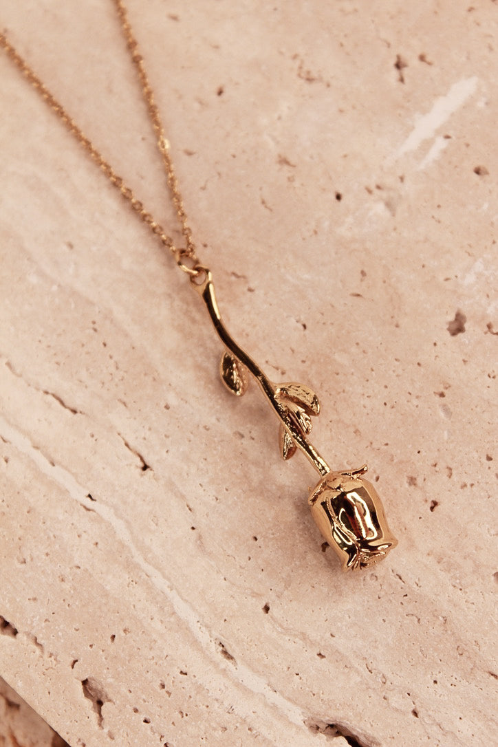 Rosero 14K Gold Filled Waterproof Necklace Detail