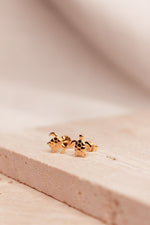 Load image into Gallery viewer, Donatello 18K Gold Earrings
