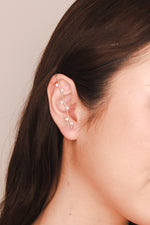 Load image into Gallery viewer, Crystal Garden Silver Ear Climber
