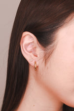 Load image into Gallery viewer, Willa Classic Gold Hoops
